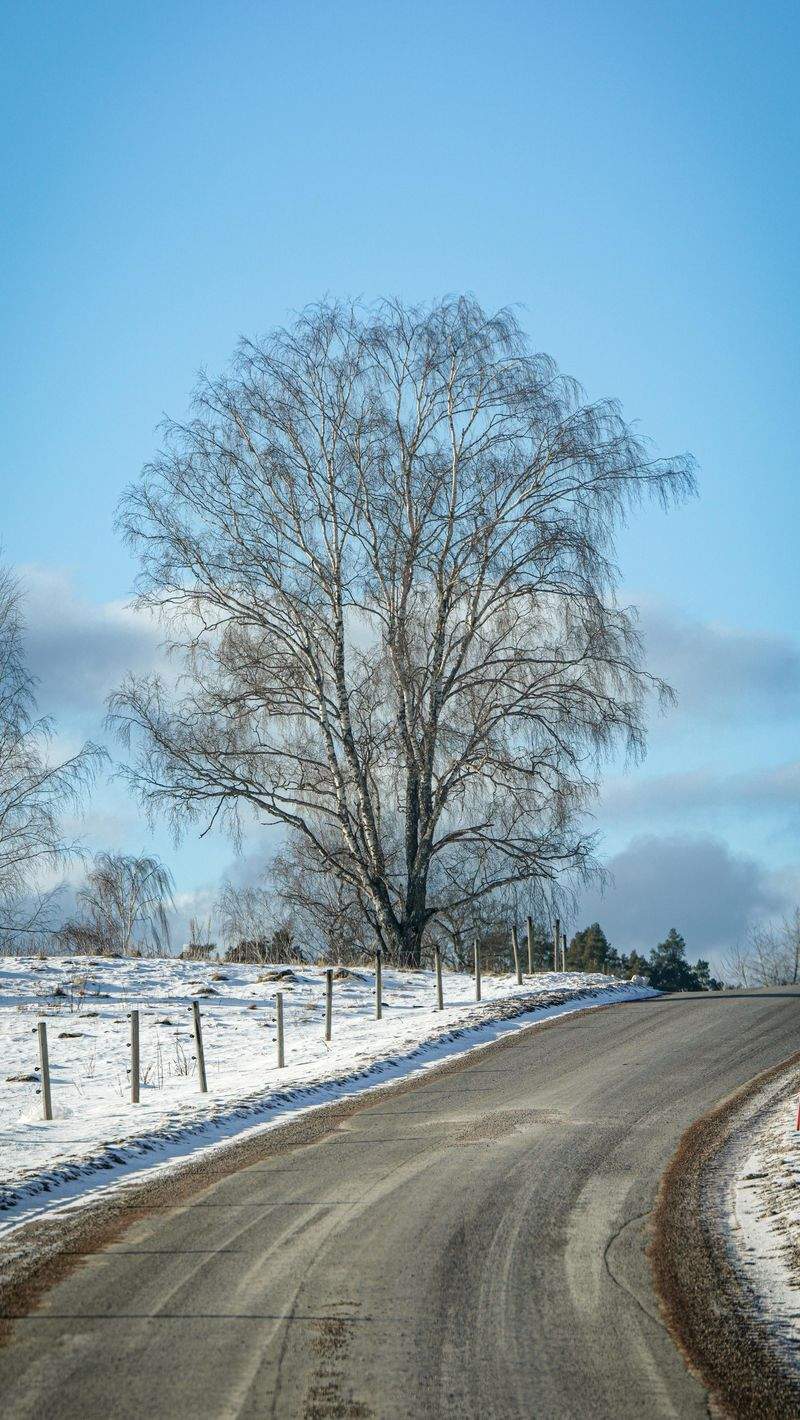 Nordisk Erhvervsløsninger - Image 12